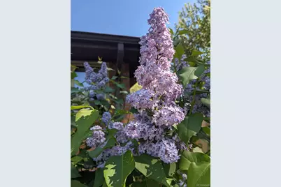 7366 W 75th Avenue, Arvada, CO 80003 - Photo 39