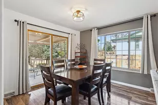 391 Burgess Dr, Castle Rock, CO 80104 - Photo 9