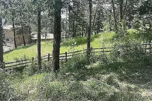 4660 Independence Trail, Evergreen, CO 80439 - Photo 45