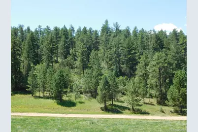 4668 Comanche Drive, Larkspur, CO 80118 - Photo 3