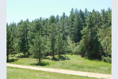 4668 Comanche Drive, Larkspur, CO 80118 - Photo 7