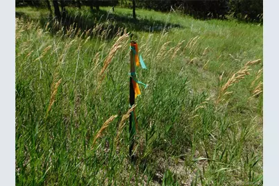 4668 Comanche Drive, Larkspur, CO 80118 - Photo 17