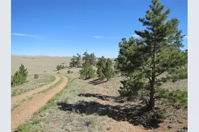 Lot 5085 Ouray Road, Hartsel, CO 80449 - Photo 13