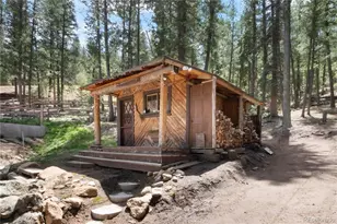 48 Linn Cir, Evergreen, CO 80439 - Photo 41