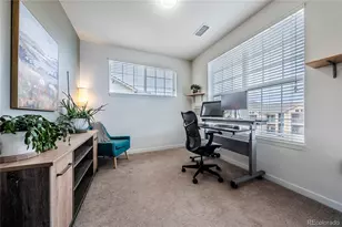 9227 Rolling Way, Parker, CO 80134 - Photo 23