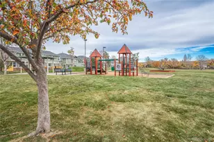 9227 Rolling Way, Parker, CO 80134 - Photo 43