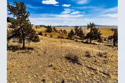 102 Pack Saddle Court, Hartsel, CO 80449 - Photo 11