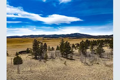 102 Pack Saddle Court, Hartsel, CO 80449 - Photo 9