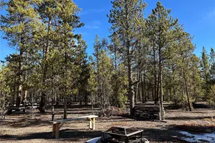 361 Fir Dr, Twin Lakes, CO 81251 - Photo 1