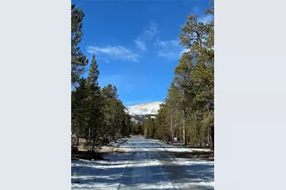 361 Fir Drive, Twin Lakes, CO 81251 - Photo 3