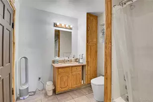 124 River Dr, Bailey, CO 80421 - Photo 21
