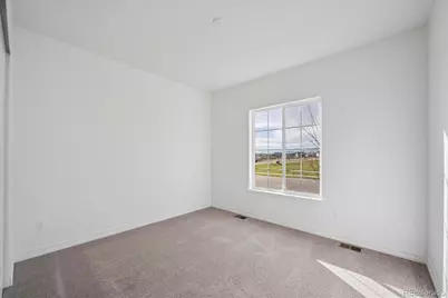 1180 Weller Street, Timnath, CO 80547 - Photo 3