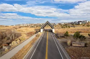 6239 Stable View St, Castle Pines, CO 80108 - Photo 39