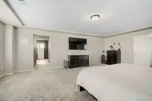 11713 E 118th Pl, Henderson, CO 80640 - Photo 21
