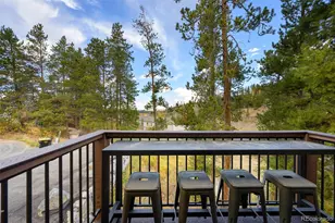 843 Badger Ln, Fraser, CO 80442 - Photo 23