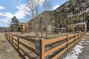 1450 Marion St, Georgetown, CO 80444 - Photo 19