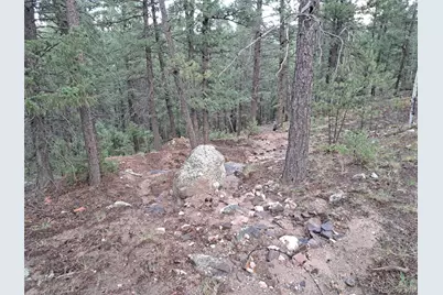 360 Hi Meadow Drive, Bailey, CO 80421 - Photo 29