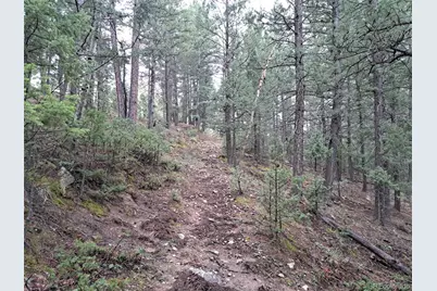 360 Hi Meadow Drive, Bailey, CO 80421 - Photo 5