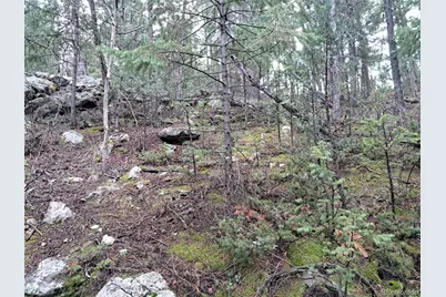 360 Hi Meadow Drive, Bailey, CO 80421 - Photo 13