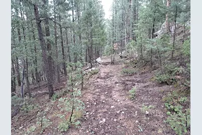 360 Hi Meadow Drive, Bailey, CO 80421 - Photo 1