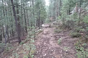 360 Hi Meadow Dr, Bailey, CO 80421 - Photo 1