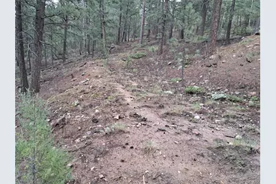 360 Hi Meadow Drive, Bailey, CO 80421 - Photo 19