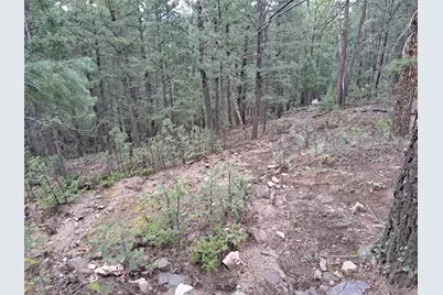 360 Hi Meadow Drive, Bailey, CO 80421 - Photo 17
