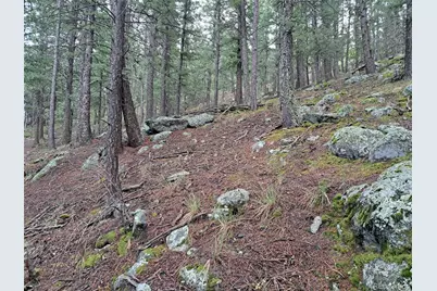 360 Hi Meadow Drive, Bailey, CO 80421 - Photo 15
