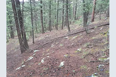 360 Hi Meadow Drive, Bailey, CO 80421 - Photo 7