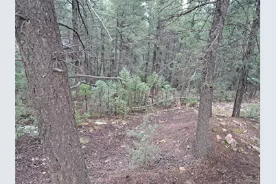360 Hi Meadow Drive, Bailey, CO 80421 - Photo 3