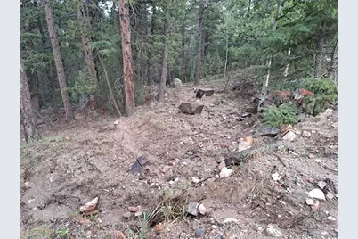 360 Hi Meadow Drive, Bailey, CO 80421 - Photo 25
