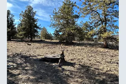 3430 Singletree Road, Hartsel, CO 80449 - Photo 13