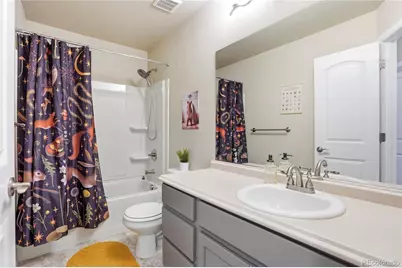 1068 Mt Oxford Avenue, Windsor, CO 80550 - Photo 35