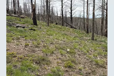 Lot 383 Soubry Place, Fort Garland, CO 81133 - Photo 15