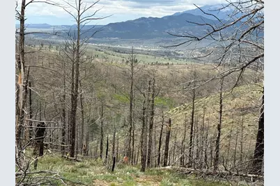 Lot 383 Soubry Place, Fort Garland, CO 81133 - Photo 13