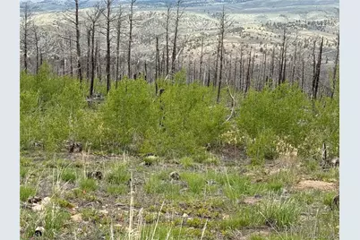 Lot 383 Soubry Place, Fort Garland, CO 81133 - Photo 7