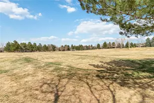 6404 Silver Mesa Dr, Highlands Ranch, CO 80130 - Photo 37