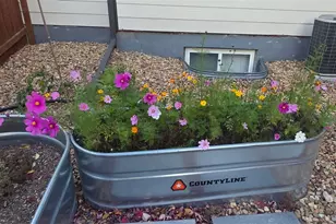 6718 Thistle Ridge Ave, Firestone, CO 80504 - Photo 43