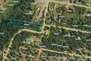 10 Bartimous Rd, Bailey, CO 80421 - Photo 11