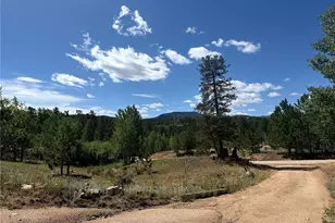364 Stagecoach Dr, Bailey, CO 80421 - Photo 41