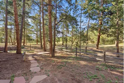 19825 Soaring Wing Drive, Colorado Springs, CO 80908 - Photo 5