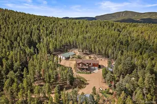 9001 S Warhawk Rd, Conifer, CO 80433 - Photo 37