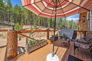 9001 S Warhawk Rd, Conifer, CO 80433 - Photo 33