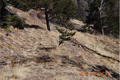 2734 Newman, Fort Garland, CO 81133 - Photo 9