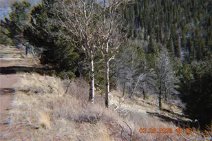2734 Newman, Fort Garland, CO 81133 - Photo 1