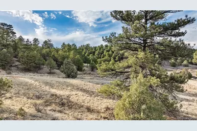 48 Alex Court, Cotopaxi, CO 81223 - Photo 17