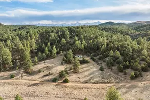 48 Alex Ct, Cotopaxi, CO 81223 - Photo 1