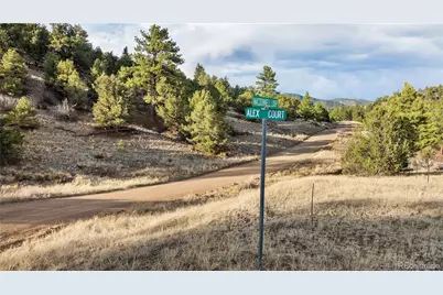 48 Alex Court, Cotopaxi, CO 81223 - Photo 23