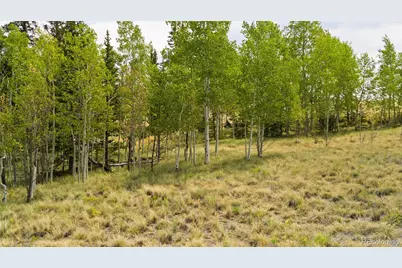 540 Turk Pony Way, Como, CO 80432 - Photo 3