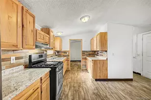 5093 E 96th Pl, Denver, CO 80229 - Photo 3